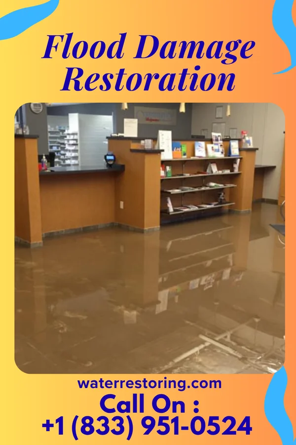 Flood Damage Restoration in Delaware, IA