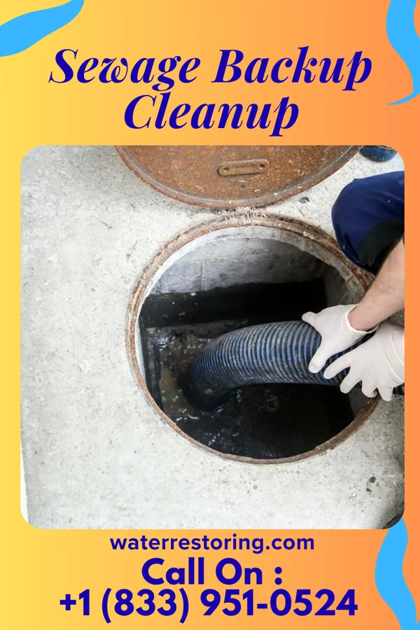 Sewage Backup Cleanup in Delaware, IA